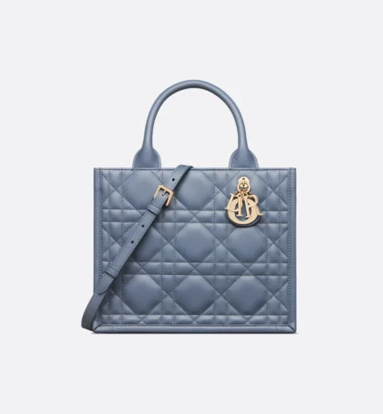 Dior Small Dior Book Tote HandBags