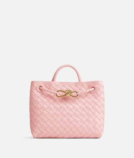Bottega Veneta Small Andiamo