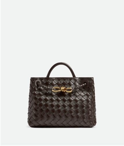 Bottega Veneta Small Andiamo