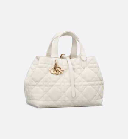 Dior Medium Dior Toujours Bag HandBags