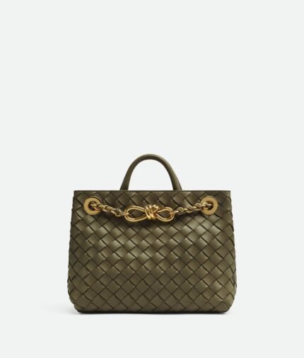Bottega Veneta Small Andiamo With Chain