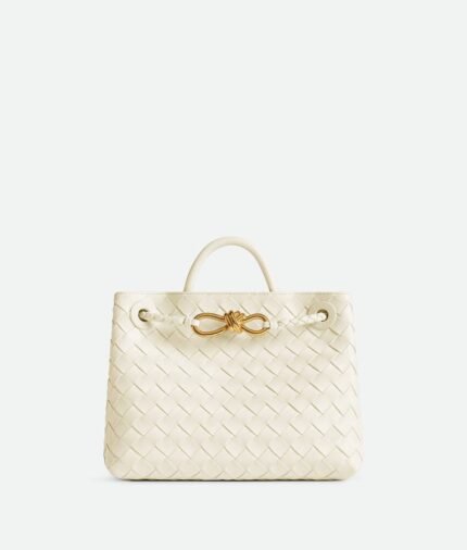 Bottega Veneta Small Andiamo