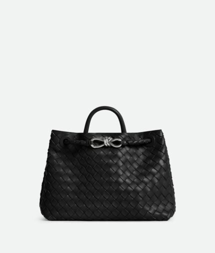 Bottega Veneta Medium Andiamo