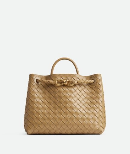 Bottega Veneta Medium Andiamo