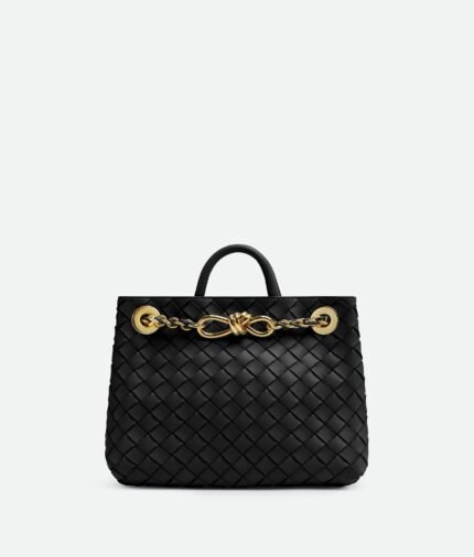 Bottega Veneta Small Andiamo With Chain