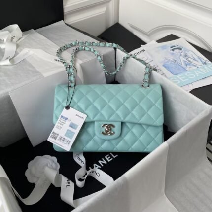 Chanel Small Classic Handbag Caviar Silver Hardware