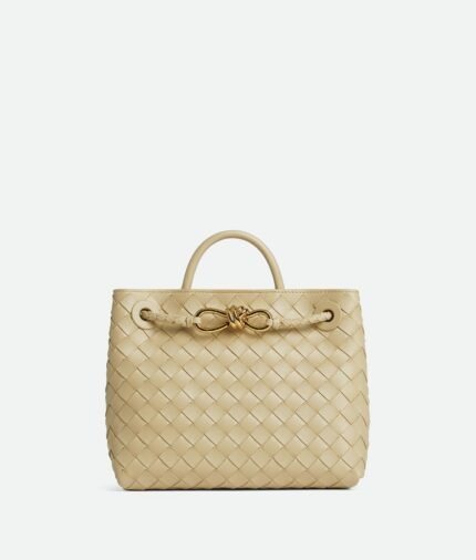 Bottega Veneta Small Andiamo