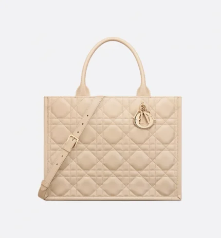 Dior Medium Dior Book Tote HandBags