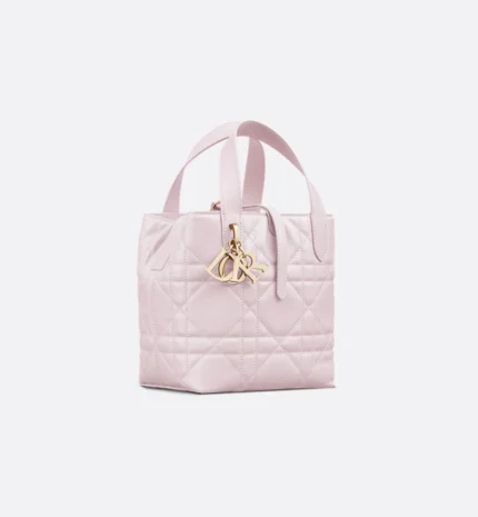 Dior Small Dior Toujours Vertical Tote Bag