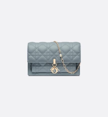 Dior My Dior Daily Chain Pouch