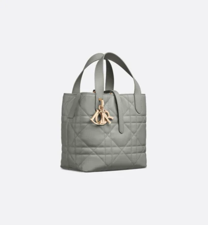 Dior Small Dior Toujours Vertical Tote Bag